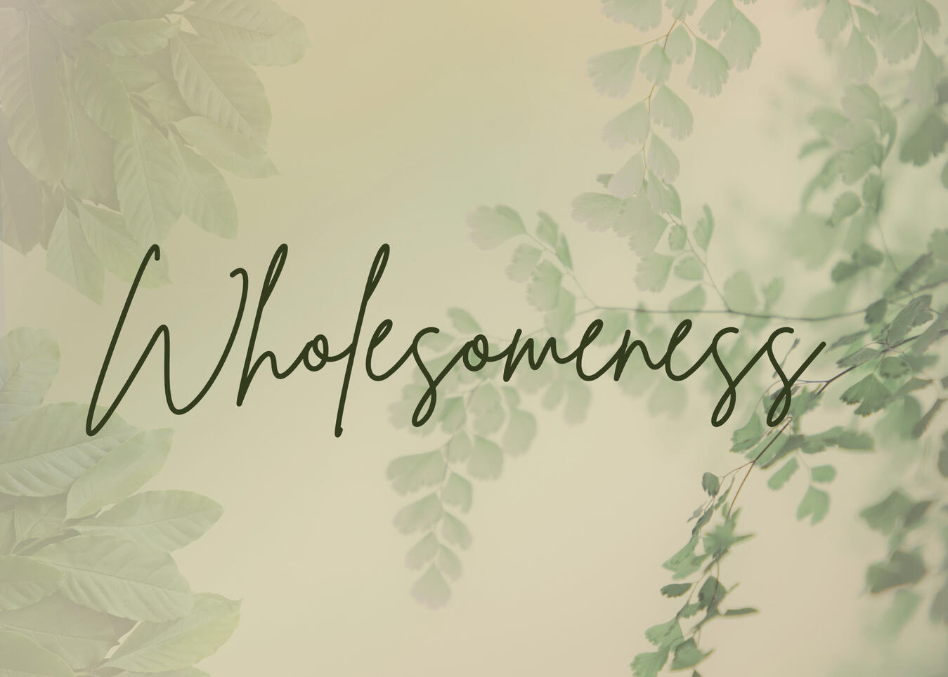 Wholesomeness Wholesomeness